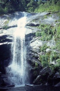 0200 NP Huerquhue.jpg